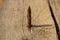 A sharp rusty nail sticks out of the board