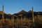 Sharp Shadows Cast Agains The Tucson Mountains At Sunset In Saguaro