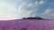 The sharp-shaped mountain is surrounded by a dense pink forest of lush trees with a backdrop of the sky and clouds. 3d rendering