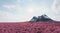 The sharp-shaped mountain is surrounded by a dense pink forest of lush trees with a backdrop of the sky and clouds. 3d rendering