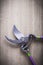 Sharp stainless pruning shears on wooden background agriculture