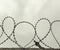 Sharp steel barbed wire