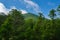 Sharp Top Mountain, Blue Ridge Mountain, Virginia, USA