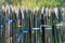 Sharpened bamboo fence.