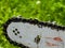 Sharpened sharp teeth of an electric saw chain on a blurred green background