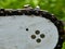 Sharpened sharp teeth of an electric saw chain on a blurred green background