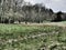 Sharpness and blurring areas, Expressionistic visual effect. Dramatic weather, view of the meadow of a stream.