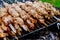 Shashlik on a barbecue grill over charcoal shish kebab popular in Eastern Europe