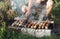 Shashlik is fried in nature on skewers on charcoal using simple bricks. Summer family picnic