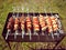 Shashlik on nature background. Roasted gourmet food. Barbecue cooking food. Grilled meat