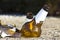 Shattered beer bottle resting on the ground: alcoholism concept