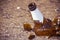 Shattered beer bottle resting on the ground: alcoholism concept - toned image with copy space