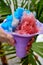 Shaved Ice Snow Cone