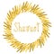 Shavuot. Concept of Judaic holiday. Wreath of wheat ears