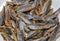 Shawa fish Herring or sardine before cleaning and deboning
