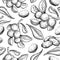 Shea butter vector seamless pattern drawing. vintage background with berry, nuts, branch.