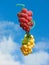 Sheaf of balloons in the form of grapes cluster