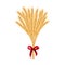 Sheaf of wheat. Reap of spiked grain heads. Christmas sheaf. Bunch of crop ears. Spikes, Julkarve, Julenek,