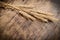 Sheaf of wheat on wooden background