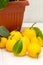 Sheared ripe yellow-orange lemon fruits near the potted citrus plant on the dining table, close-up. Harvesting the indoor growing
