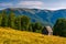 Shed on a grassy slope in mountains