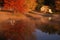 Shed near lake in autumn, CT