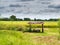 Shed in the rice field