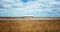 Shed Standing In A Dry Brown Farm Field