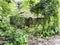 Shed surrounded by greenery