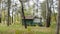 Shed in a woods. Small green house in a forest planting against a background of green grass and trees