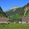 Sheds and horse at lake Fahlensee.