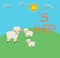 Sheep Alphabet fun cartoon