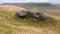 Sheep around gritstone rock on moorland.