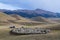 Sheep in Assy Plateau in Kazakhstan