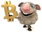 Sheep and bitcoin - 3D Illustration