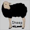 Sheep with black hair - vector illustrator