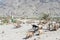 Sheep at Border Monument in Wakhan Valley, Zugvand Village, Gorno-Badakhshan, Tajikistan.