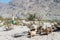 Sheep at Border Monument in Wakhan Valley, Zugvand Village, Gorno-Badakhshan, Tajikistan.