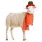 Sheep in Christmas clothes