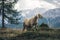 Sheep in Cinque Torri, Cortina D`Ampezzo, Dolomites, Italy