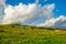 The sheep and cloudscape on the steppe