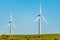 Sheep and Cows amongst the wind farm in Western Australia