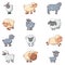 Sheep cute lamb farm iicons set, cartoon style