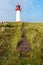 Sheep, dike, lambs, North Sea