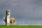 Sheep, dike, milestone and windmills