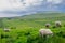 Sheep eating grass in Massive field