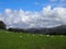 Sheep in Eskdale, Lake District, UK