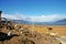 Sheep at an Estancia