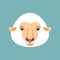 Sheep face isolated. Ewe head. Vector illustration