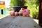 Sheep family group, beautiful pink ceramic doll, placed on old wooden floor